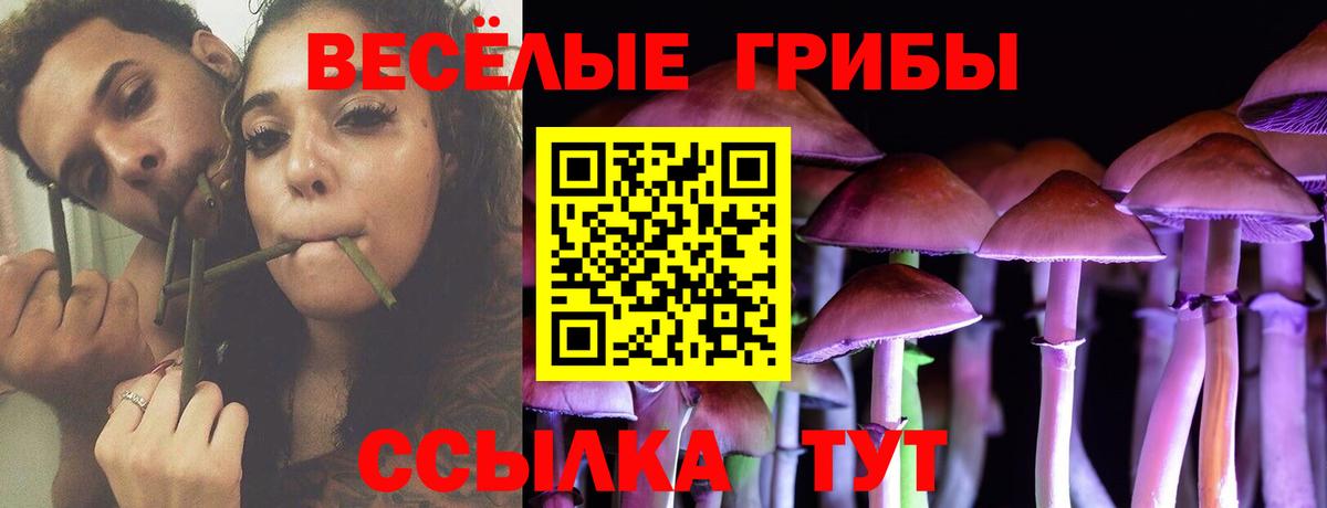 Галлюциногенные грибы прущие грибы Озёрск